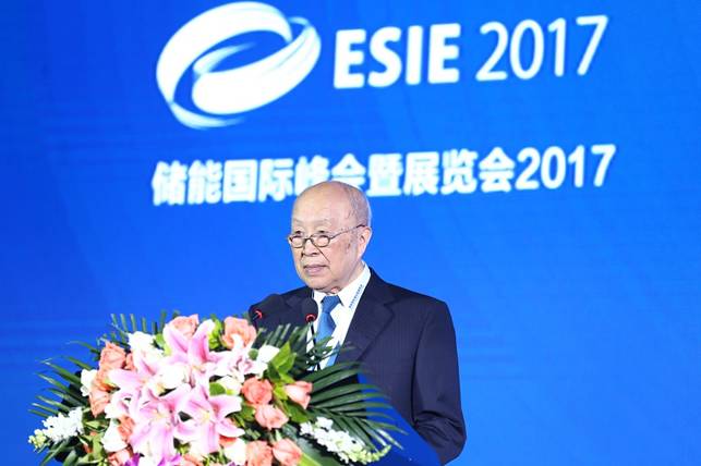 中國工程院院士楊裕生致辭