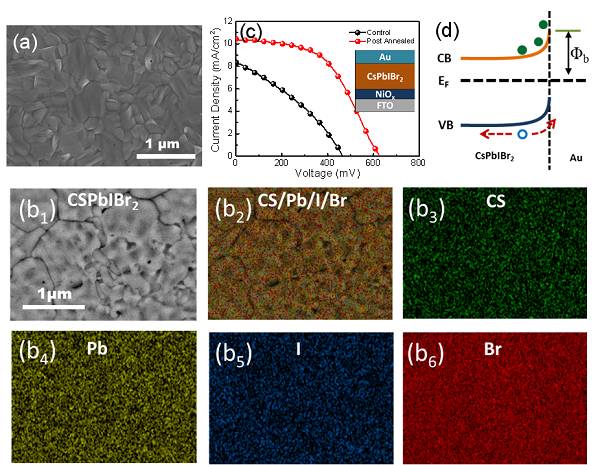 提升全無機鈣鈦礦充電機充電太陽能蓄電池性能的超薄MoOx陰極緩沖層材料是個什么東東? 提升全無機鈣鈦礦充電機充電太陽能蓄電池性能的超薄MoOx陰極緩沖層材料是個什么東東?