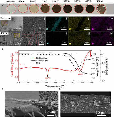 無內部短路的充電機充電鋰離子蓄電池熱失控