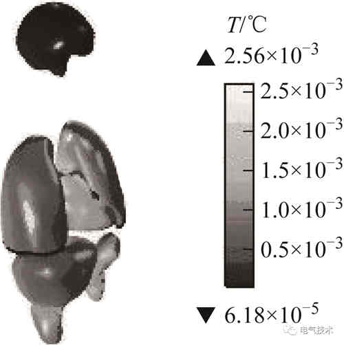 電動汽車蓄電池充電機無線充電系統會危害人體健康嗎？